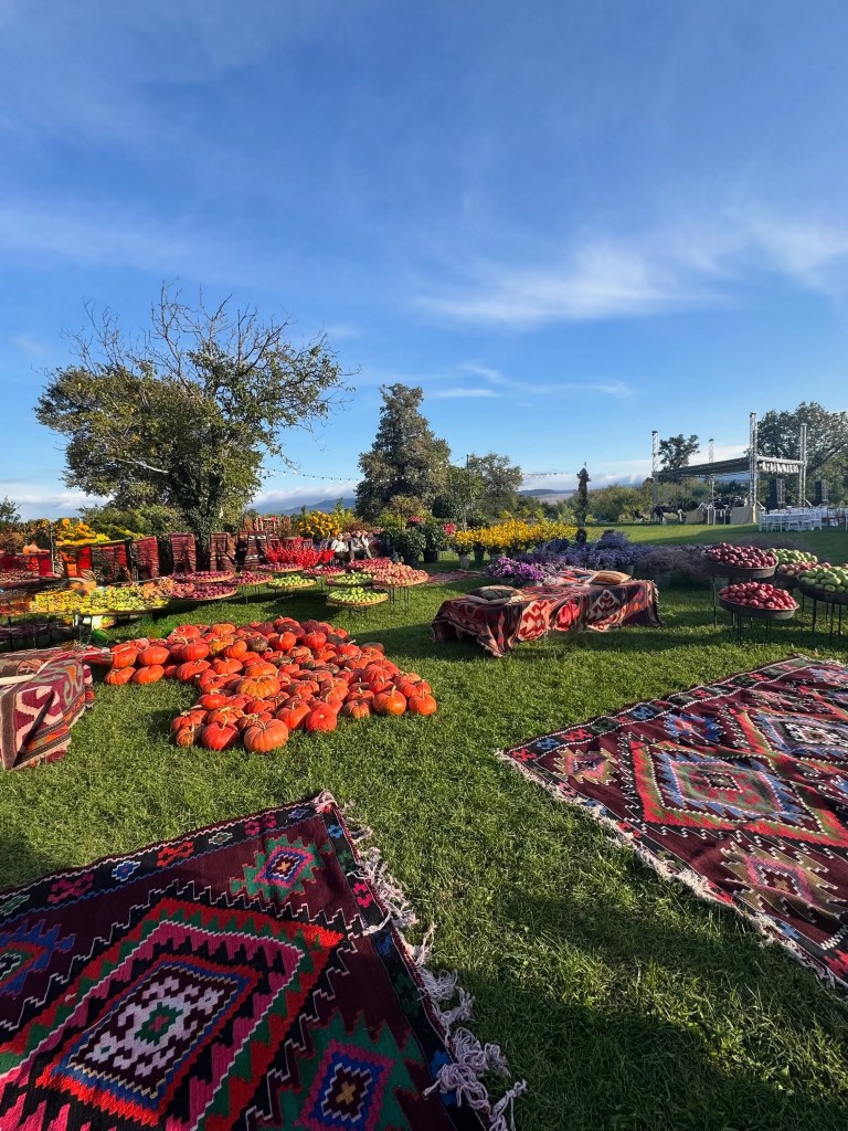 Harvest at Château Mukhrani 1